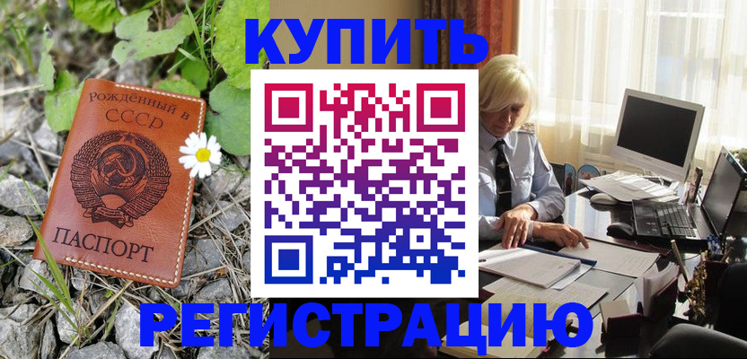 временная регистрация поиск в Луге